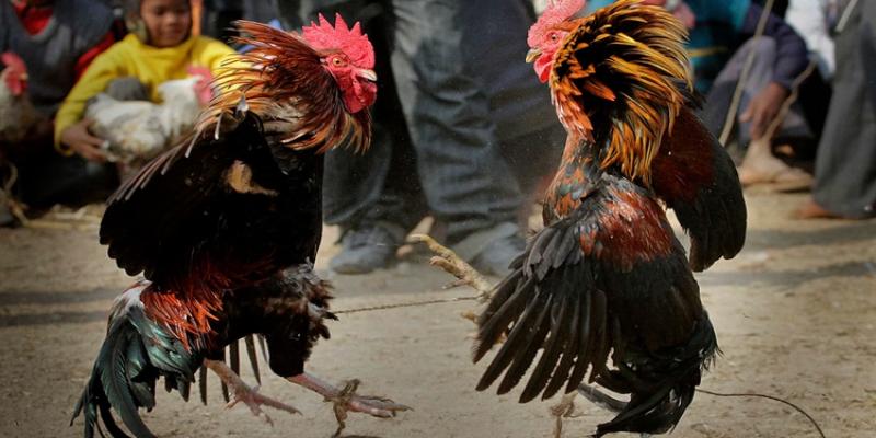 Theo dõi chi tiết giúp nâng cao khả năng phân tích trận đấu